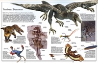 056-057_Feathered_Dinosaurs