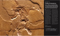 188-189_Archaeopteryx